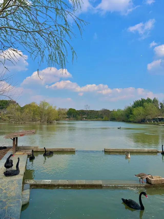 3-Day Short Vacation, Fully Enjoy the Beauty of Shanghai