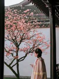 Experience the Enchanting Spring in Suzhou