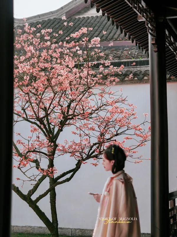 Experience the Enchanting Spring in Suzhou