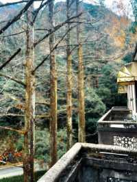 金華雙龍賓館 | 隱於山林 洞見雙龍