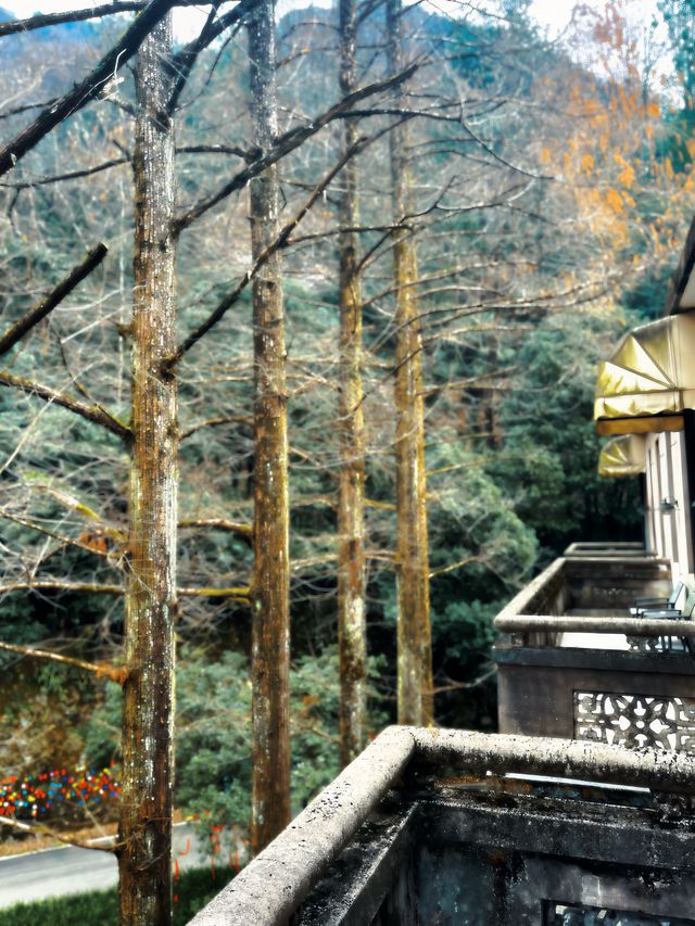 金華雙龍賓館 | 隱於山林 洞見雙龍