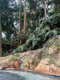 享受峨眉山溫泉之旅 | 邂逅治癒系溫暖