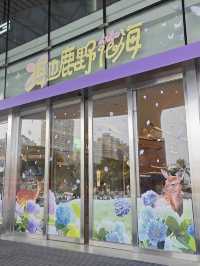 🌊海邊的春日浪漫，心動預警❗