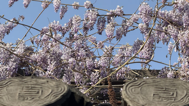 成家大司馬府