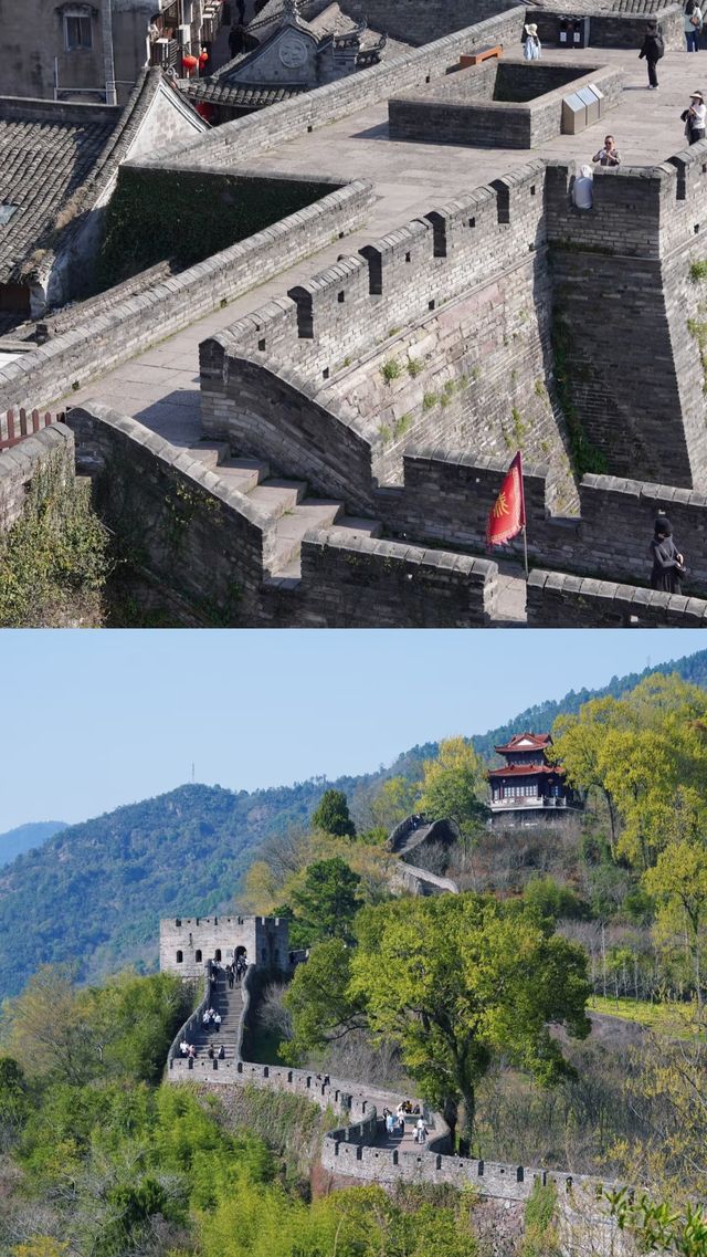 山海交響，舌尖漫遊：我的台州三日奇幻之旅 