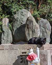 京都經典全景一日遊，輕鬆暢玩推薦攻略