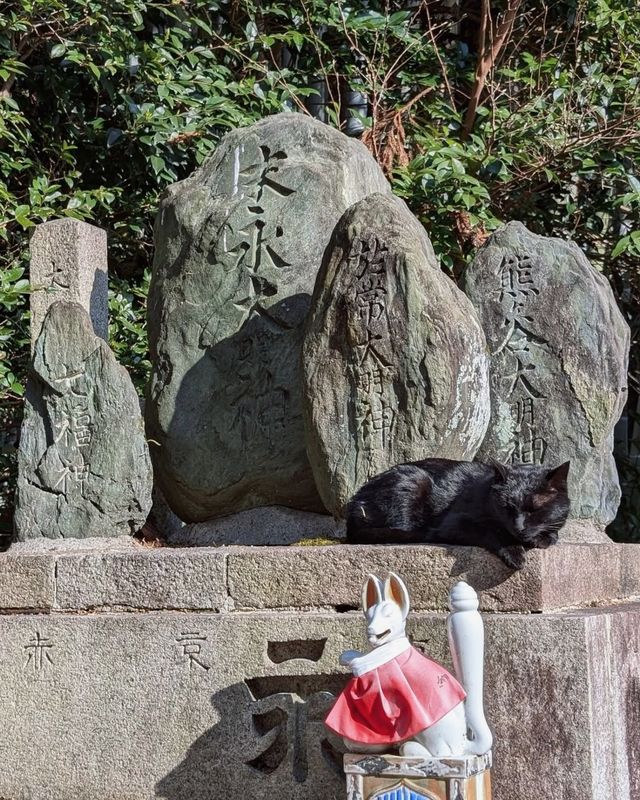 京都經典全景一日遊，輕鬆暢玩推薦攻略