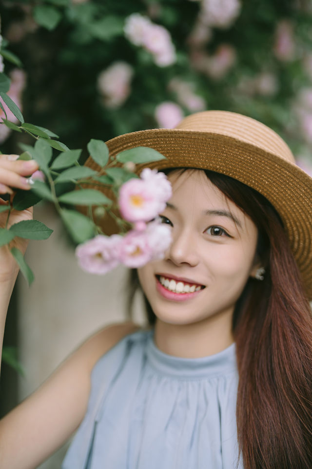 蔷薇花開，江南的浪漫暴擊~