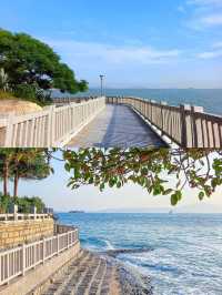 廈門環島路，一場海邊嘅浪漫之旅