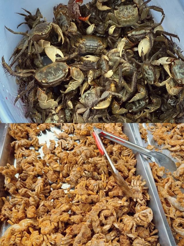 在更熱烈的風景裡相遇——雙山島