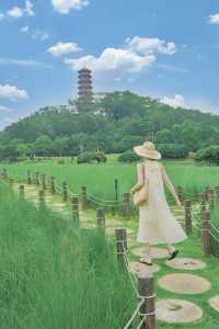 地鐵直達嘅綠色誤入宮崎駿漫畫裏面嘅夏天