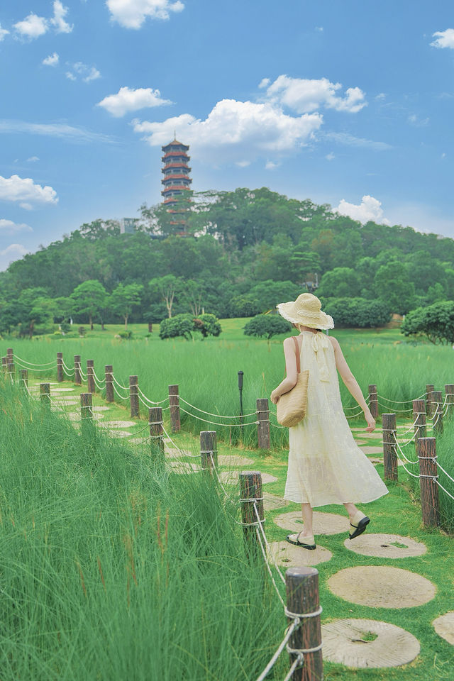 地鐵直達嘅綠色誤入宮崎駿漫畫裏面嘅夏天