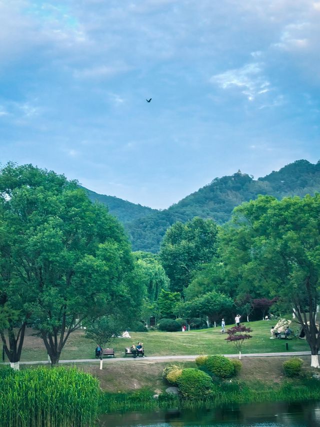 玄武湖｜湖景晚霞，不容錯過（附機位圖