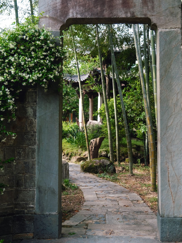 三清山居民宿｜住進鄉野自然，擁抱這夏天的風車茉莉