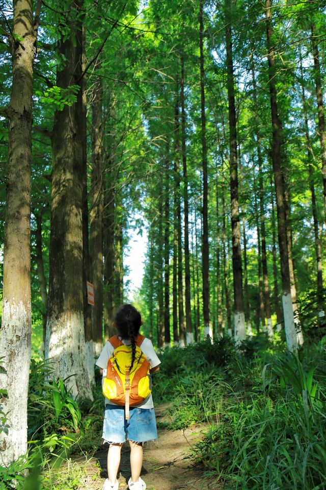 我的城市公園徒步天花板城市裡的綠野仙蹤 我的城市公園徒步天花板城市裡的綠野仙蹤