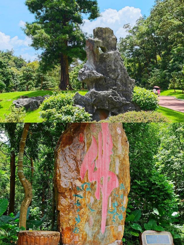 如果你嚟深圳，我一定會帶你去仙湖植物園！