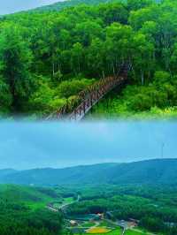 《探秘神仙谷：七彩森林嘅浪漫與驚喜》