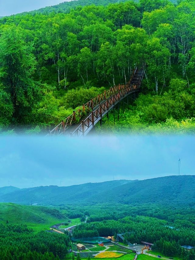 《探秘神仙谷：七彩森林嘅浪漫與驚喜》
