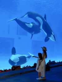 珠海長隆海洋王國親子遊懶人包攻略！附隱藏玩法&慳錢技巧