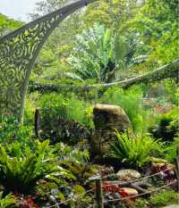 一齊去公園行下·深圳仙湖植物園！
