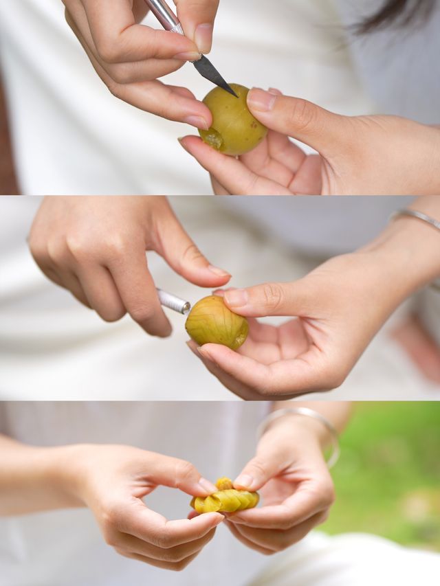 一顆梅子的心事 | 今日開始變溫柔
