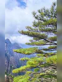 Majestic Huangshan on May Holiday 2025