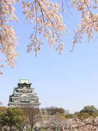 日本6日遊老年人玩轉攻略必備