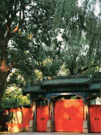 瀋陽「江南園林」私藏攻略：紅牆黛瓦，人少景靚！
