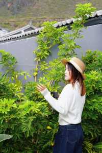 落地大窗外，係碧海藍天嘅浪漫之地