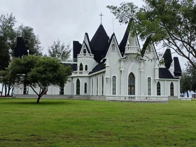 打卡深圳玫瑰海岸玫瑰酒店