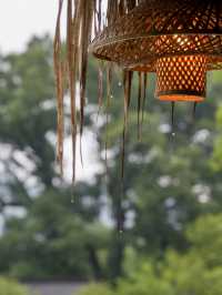雨落牯牛降｜我花一日時間，聽山野呼吸