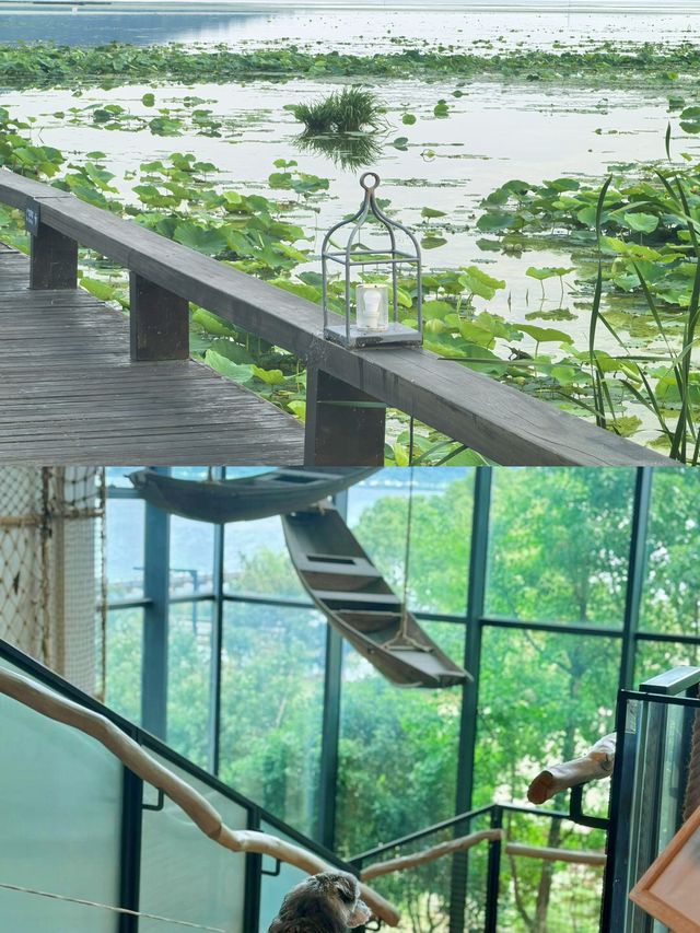 上海周邊！夏天嚟蘇州太湖度假村避暑啦