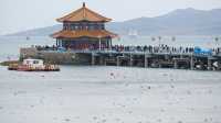 關於春天 | 青島春日漫遊指南