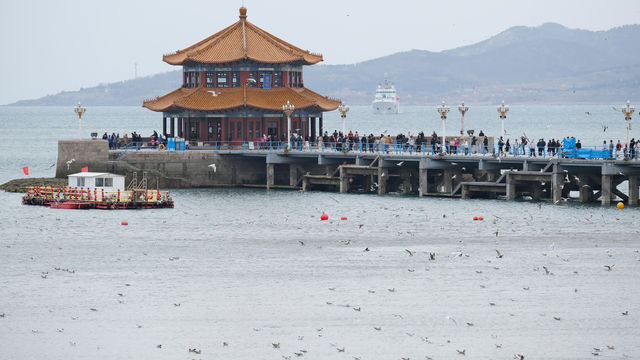 關於春天 | 青島春日漫遊指南