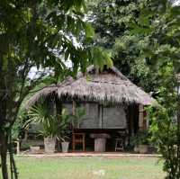 เรื่องราวของชา ที่ ร้านชาสวรรค์บนดิน จ.เชียงราย