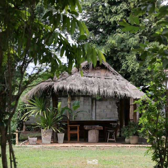 เรื่องราวของชา ที่ ร้านชาสวรรค์บนดิน จ.เชียงราย