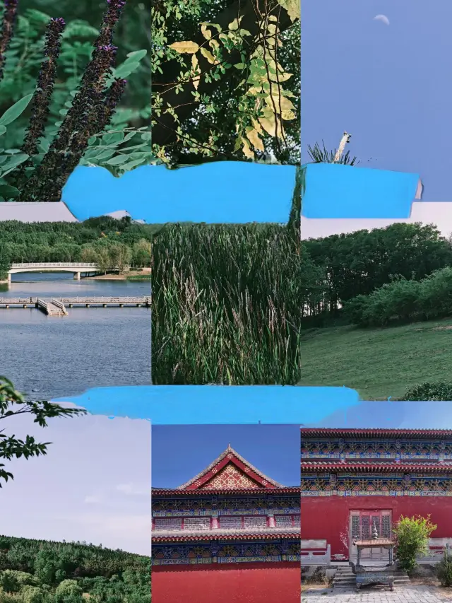 中牟受罪已回，真唔建議6月份嚟