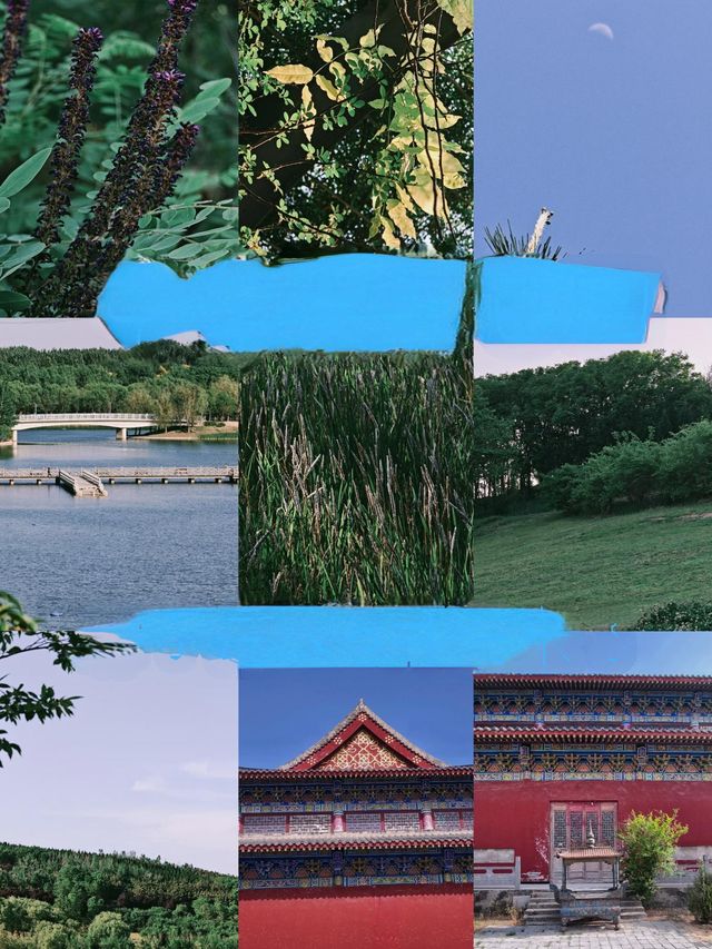 中牟受罪已回，真唔建議6月份嚟