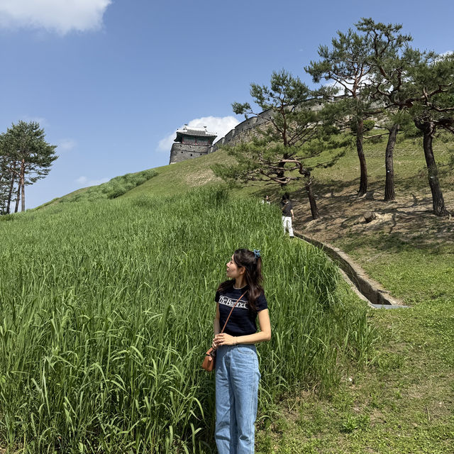 수원에 피크닉 하기 좋은 명소 🍃