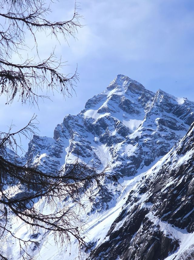 現實版冰雪奇緣