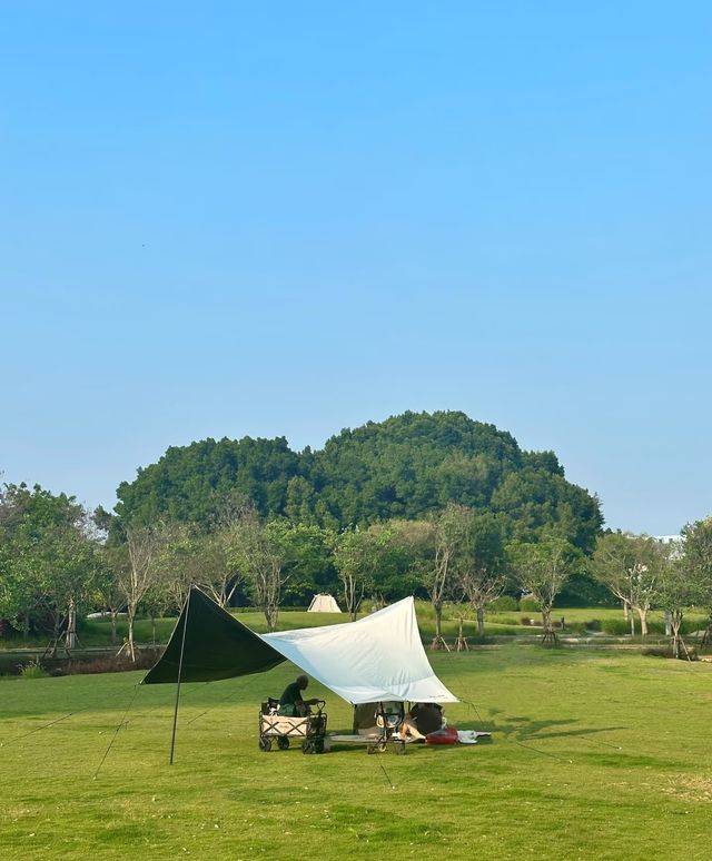 廈門大埕公園，治癒系打卡