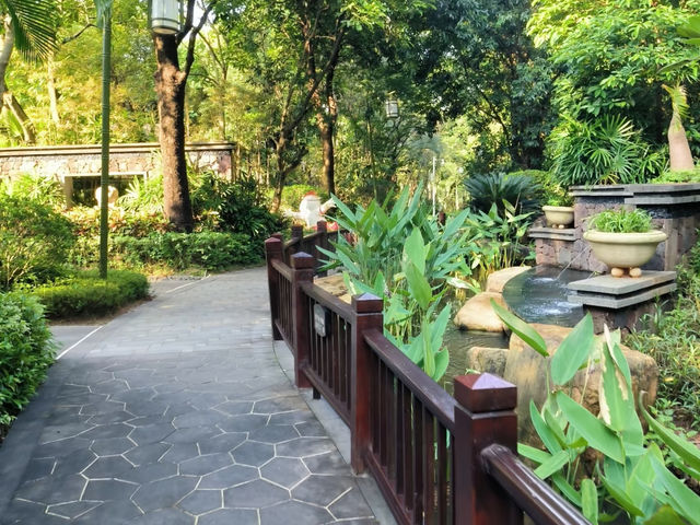 去咗3次美的鷺湖半山湯谷，終於玩到明晒。