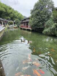 深圳周邊遊推薦