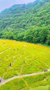 《臨平公園，邊度可以欣賞到最美嘅自然風光？》