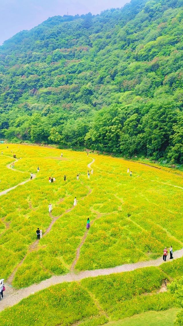 《臨平公園，邊度可以欣賞到最美嘅自然風光？》