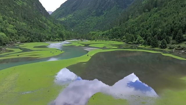 剛從月亮湖歸來，有些肺腑之言與攻略想與君分享（附超全指南