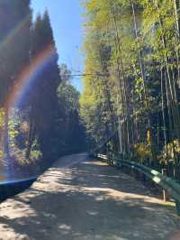 專屬22℃夏日嘅村落‖放慢腳步感受山水禪意～