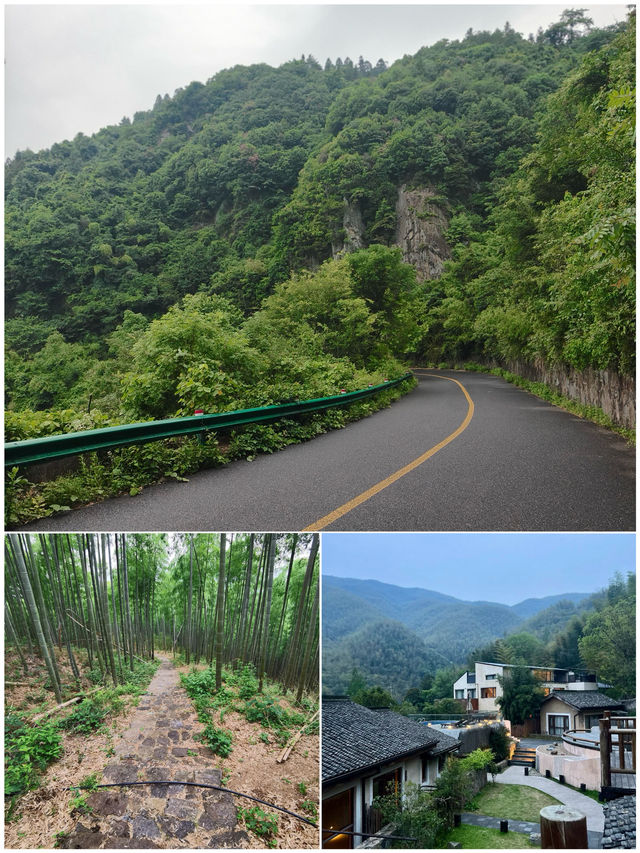 喺莫干山留咗3日，我嘅消費觀徹底崩塌咗