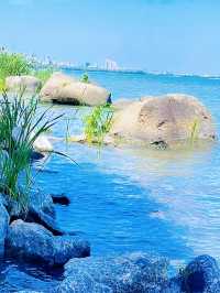 蘇州崑山巴城生志濕地公園:周邊遊