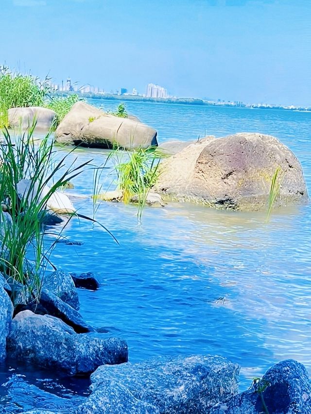 蘇州崑山巴城生志濕地公園:周邊遊